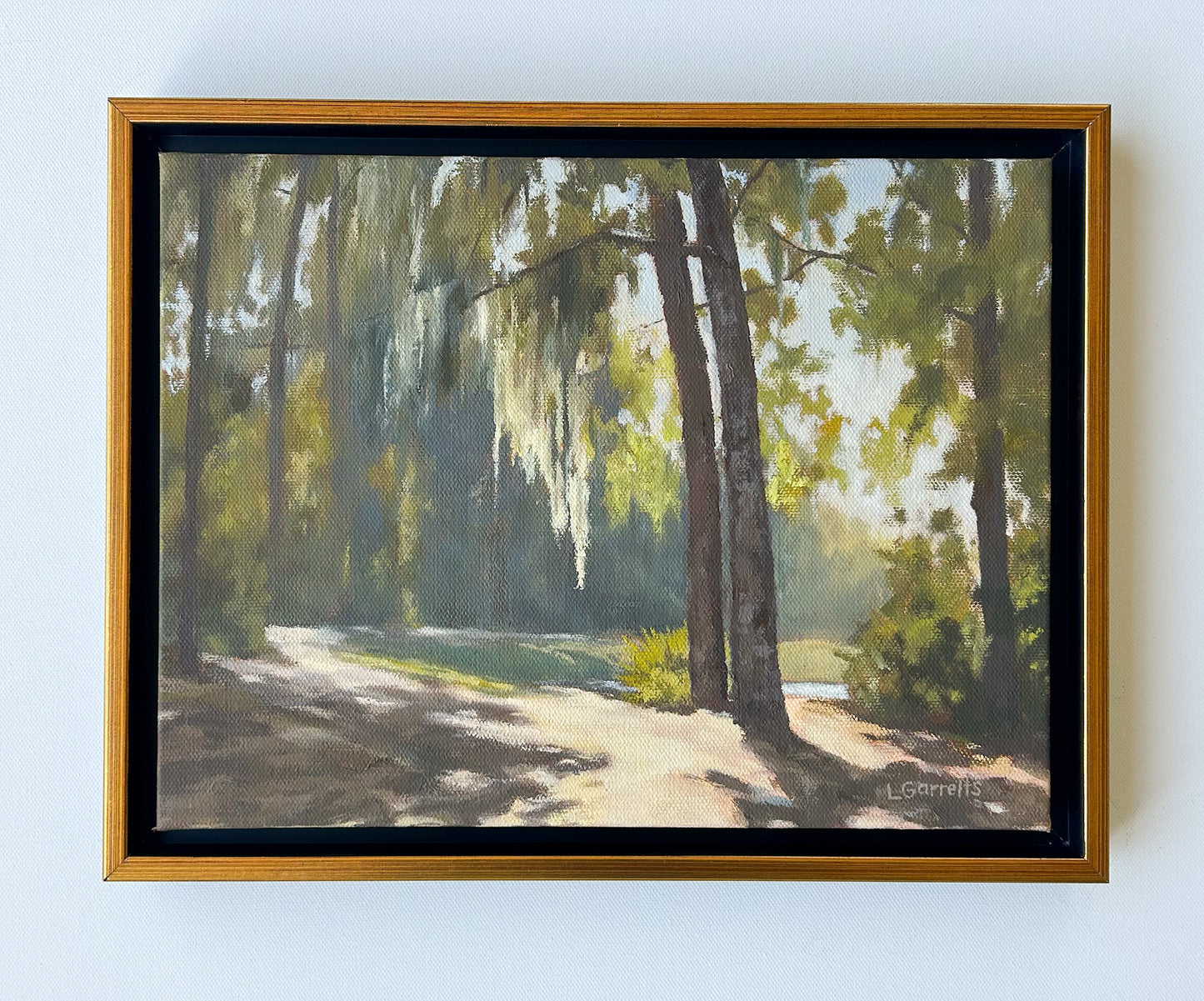 Find Shelter in the Shade