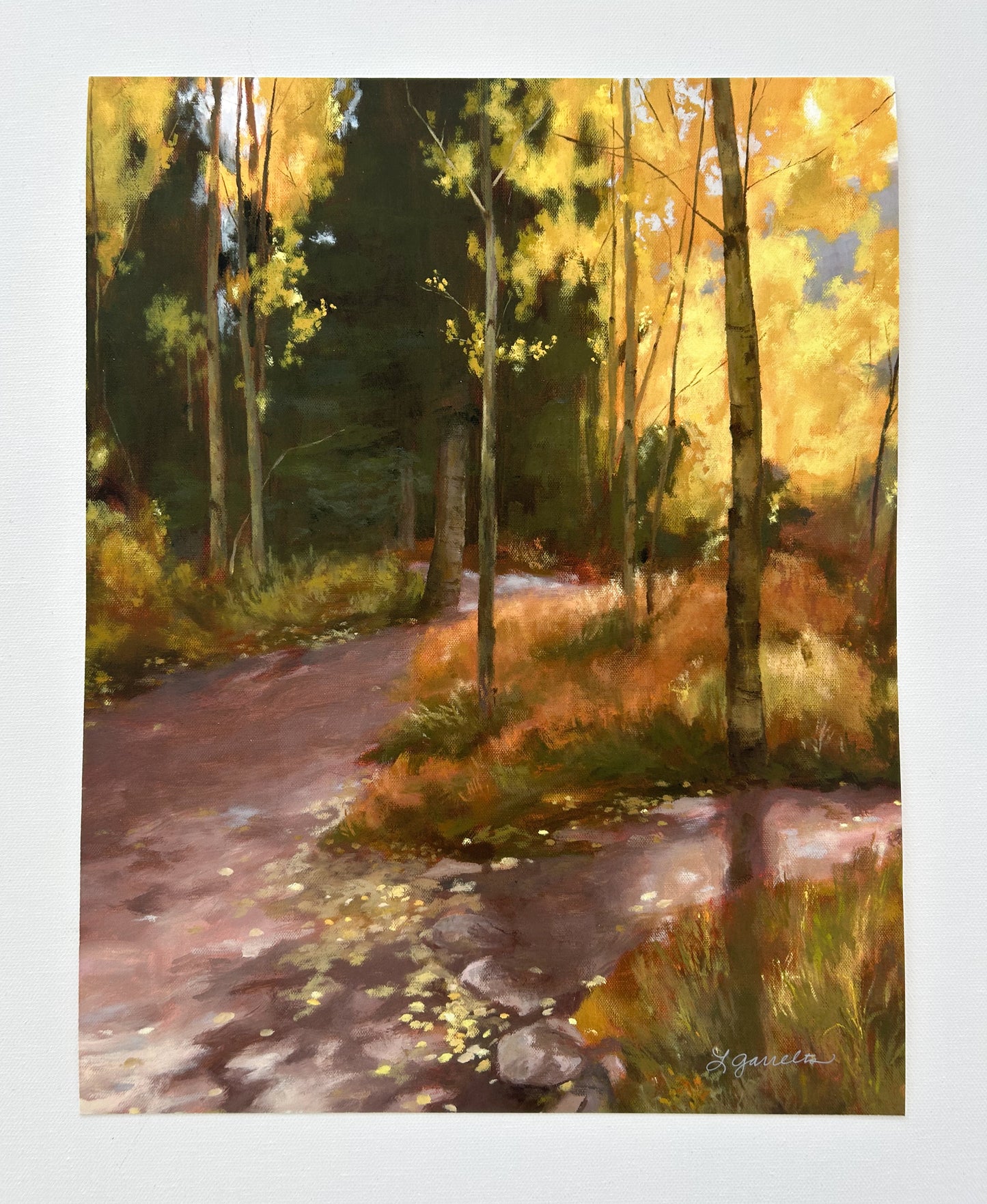 "Aspen Canopy" Fine Art Print
