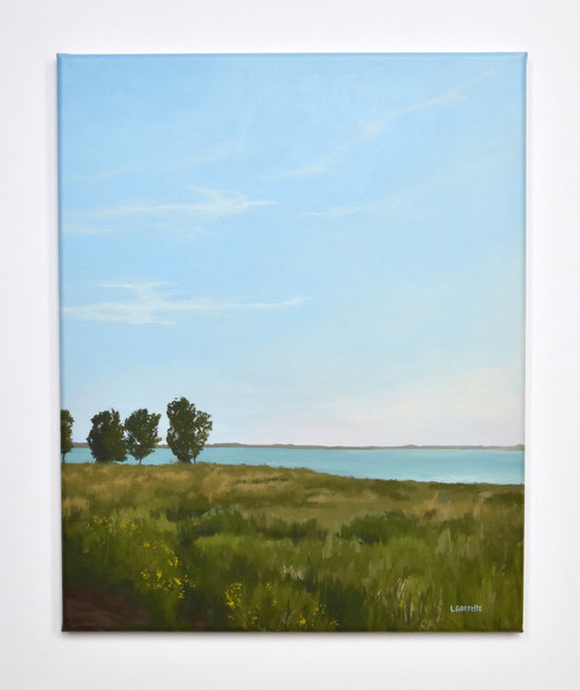 Lake and Grassland Sunset original painting